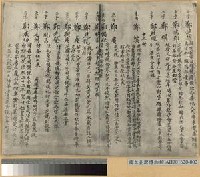 藏品(石井本宗族譜延平郡王族譜抄本照片)的圖片